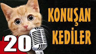 Konuşan Kediler 20  En Komik Kedi Videoları [upl. by Ronnie]