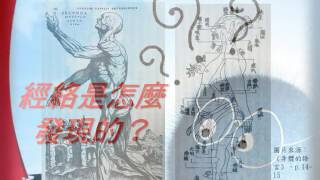 【醫學課程】中醫生理學 04 中醫解剖學：經絡學說與正經 [upl. by Frederiksen]