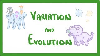 GCSE Biology  Variation and Evolution 68 [upl. by Kathye]