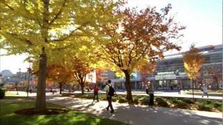 Overview of Brigham Young University [upl. by Asnarepse]