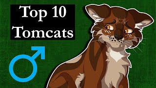 Top 10 Tomcats in Warrior Cats [upl. by Naivaf]