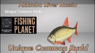 Unique Common Rudd  Akhtuba River Russia  Fishing Planet Guide [upl. by Auqinat219]