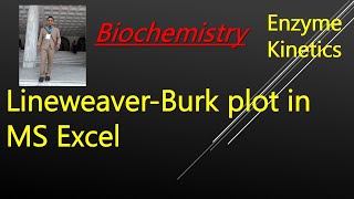 Lineweaver Burk Plot in MS Excel [upl. by Mak]