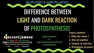 Difference between Light Dependent and Light Independent Reaction of Photosynthesis [upl. by Kienan700]