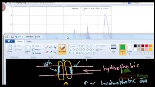 Bioinformatics practical 21 how to find transmembrane region in protein sequence [upl. by Isus]