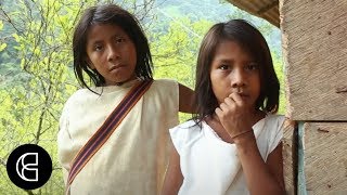 The Wiwa  An Indigenous Tribe in the Colombian Mountains [upl. by Wesa]