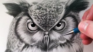 How to Draw an Owl [upl. by Ellehcer]