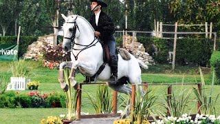 Working Equitation a Fun Way to Train Seriously  Pedro Neves clinic [upl. by Kedezihclem]