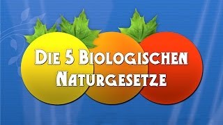 Die 5 Biologischen Naturgesetze  Die Dokumentation [upl. by Ayaros]