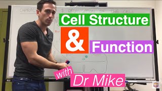 Cell Structure and Function [upl. by Aicilyt]