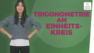 Trigonometrie anschaulich erklärt I musstewissen Mathe [upl. by Yasmeen117]