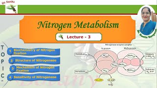 Nitrogen fixation  Biochemistry of Nitrogen fixation [upl. by Yesnik]