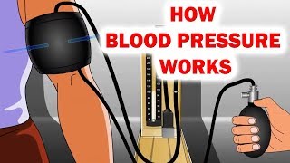 How Blood Pressure Works Animation  Sphygmomanometer  Blood Pressure [upl. by Hiett]