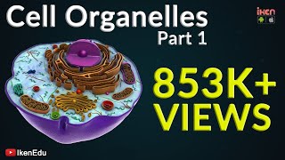 Cell Organelles  Part 1  Animation Video  Iken Edu [upl. by Annabell414]