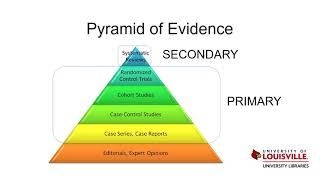 Levels of Evidence [upl. by Hildy242]