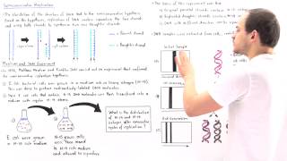 Meselson and Stahl Experiment [upl. by Maillw]