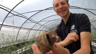 Escargots 🐌 Eating French Food at a Snail Farm [upl. by Arvid]