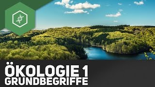 Grundbegriffe der Ökologie  Ökologie 1 [upl. by Tosch]