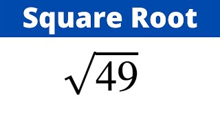 The Square Root of 49 [upl. by Irat]