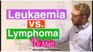 Leukaemia vs Lymphoma  An introduction [upl. by Enyallij356]