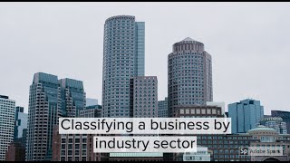 Industry Sectors explained  Classifying businesses based on industry sectors [upl. by Noraha]