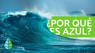 Por qué el MAR es AZUL 🌅 CURIOSIDADES sobre el MAR [upl. by Kobe530]