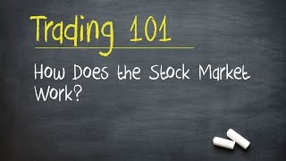 Trading 101 How Does the Stock Market Work [upl. by Namlas]