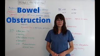 Bowel Obstruction [upl. by Leach]