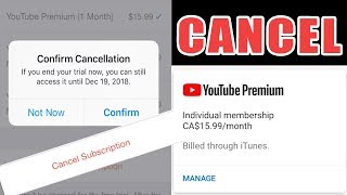 How to Cancel Youtube Premium Account [upl. by Ainet]