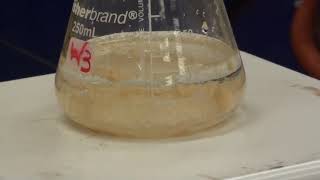 Synthesis of Acetanilide [upl. by Doownil]