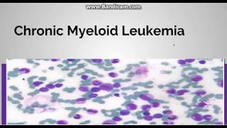 Chronic myeloid leukemia Pathogenesis Staging and periheral blood findings [upl. by Beatrice]