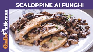 SCALOPPINE AI FUNGHI CREMOSE RICETTA FACILE E VELOCE [upl. by Ennyl]