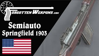 Experimental PrimerActuated Semiauto Springfield 1903 [upl. by Noli]