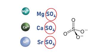 Group 2 Sulfates Solubility [upl. by Supat]