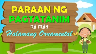 DALAWANG PARAAN NG PAGTATANIM NG HALAMANG ORNAMENTAL [upl. by Arorua134]