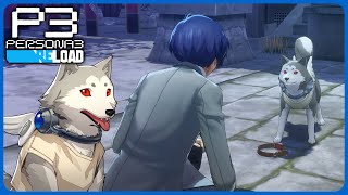 Full Koromaru Linked Episode  Persona 3 Reload [upl. by Attener747]