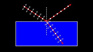 Introduction to polarization of light polarizing filters polarization by reflection and scattering [upl. by Lindsey]