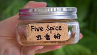 How to Make Chinese Five Spice 五香粉 [upl. by Packton]