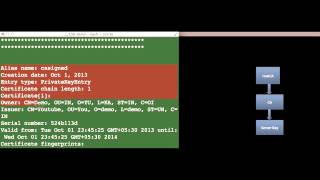 how to create certificate chain using keytoolssl tutorial [upl. by Ruhtracm896]