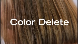 How To Remove Permanent Haircolor In a Single Step  Color Delete [upl. by Eihpos]