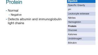 Gram Positive Bacteria Streptococcus Pyogenes [upl. by Etnomed]