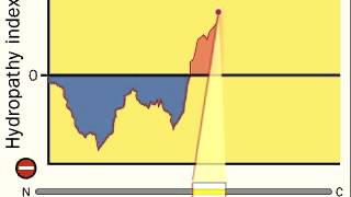 Hydropathy Index  Hydrophobicity scales [upl. by Caldwell]