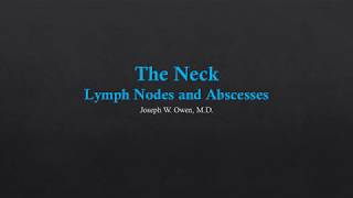 Axillary Vessels and Lymph Nodes  Dr Ahmed Farid [upl. by Yentuoc]