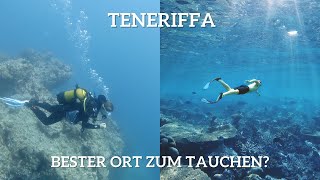 Einzigartiges Taucherlebnis auf Teneriffa Highlights [upl. by Ludba692]