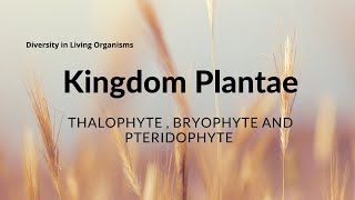 Thallophyte  Bryophyte amp Pteridophyte  Biology  Science [upl. by Nosemyaj]