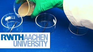 Corrosion Experiments in Gel [upl. by Rozina]