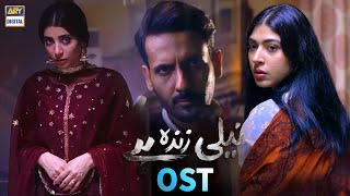 Neeli Zinda Hai OST  Rose Mary  ARY Digital Drama [upl. by Ameyn]