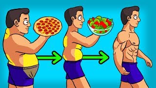 3 BEST Diets to LOSE WEIGHT amp BELLY FAT [upl. by Ahsille]