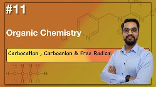 LIVE CLASS 11  XII  CHEMISTRY Organic Chemistry  CarbocationCarboanion amp Free Radical [upl. by Lalage30]