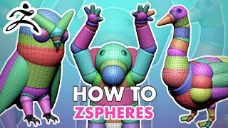 Using Zspheres in ZBrush [upl. by Hardner]